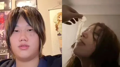 吉他张索菲亚事件