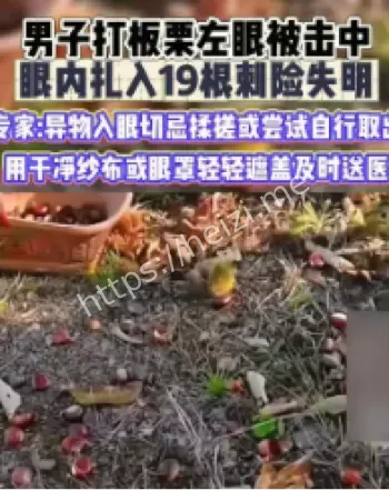 板栗刺扎眼急救