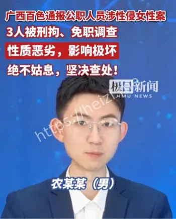 广西百色公职人员案件