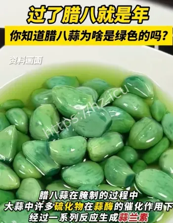 腊八蒜是绿色